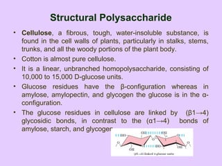 Structural Polysaccharide
• Cellulose, a fibrous, tough, water-insoluble substance, is
found in the cell walls of plants, particularly in stalks, stems,
trunks, and all the woody portions of the plant body.
• Cotton is almost pure cellulose.
• It is a linear, unbranched homopolysaccharide, consisting of
10,000 to 15,000 D-glucose units.
• Glucose residues have the β-configuration whereas in
amylose, amylopectin, and glycogen the glucose is in the α-
configuration.
• The glucose residues in cellulose are linked by (β1→4)
glycosidic bonds, in contrast to the (α1→4) bonds of
amylose, starch, and glycogen.
 