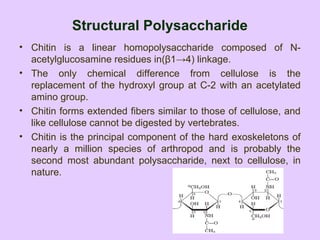 Structural Polysaccharide
• Chitin is a linear homopolysaccharide composed of N-
acetylglucosamine residues in(β1→4) linkage.
• The only chemical difference from cellulose is the
replacement of the hydroxyl group at C-2 with an acetylated
amino group.
• Chitin forms extended fibers similar to those of cellulose, and
like cellulose cannot be digested by vertebrates.
• Chitin is the principal component of the hard exoskeletons of
nearly a million species of arthropod and is probably the
second most abundant polysaccharide, next to cellulose, in
nature.
 