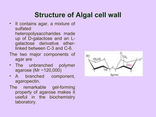 Structure of Algal cell wall
• It contains agar, a mixture of
sulfated
heteropolysaccharides made
up of D-galactose and an L-
galactose derivative ether-
linked between C-3 and C-6.
The two major components of
agar are
• The unbranched polymer
agarose (Mr ~120,000)
• A branched component,
agaropectin.
The remarkable gel-forming
property of agarose makes it
useful in the biochemistry
laboratory.
 