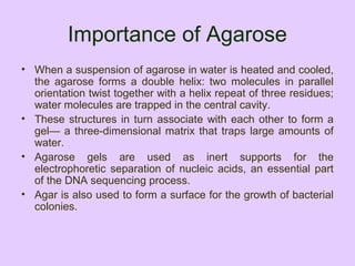 Importance of Agarose
• When a suspension of agarose in water is heated and cooled,
the agarose forms a double helix: two molecules in parallel
orientation twist together with a helix repeat of three residues;
water molecules are trapped in the central cavity.
• These structures in turn associate with each other to form a
gel— a three-dimensional matrix that traps large amounts of
water.
• Agarose gels are used as inert supports for the
electrophoretic separation of nucleic acids, an essential part
of the DNA sequencing process.
• Agar is also used to form a surface for the growth of bacterial
colonies.
 