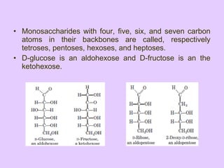 • Monosaccharides with four, five, six, and seven carbon
atoms in their backbones are called, respectively
tetroses, pentoses, hexoses, and heptoses.
• D-glucose is an aldohexose and D-fructose is an the
ketohexose.
 