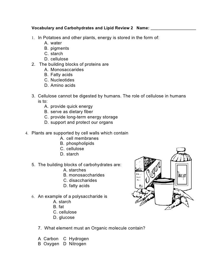 Carbohydrates lipid review 2