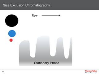 10
Size Exclusion Chromatography
Stationary Phase
Flow
 