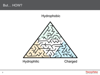 3
But… HOW?
Hydrophobic
ChargedHydrophilic
 