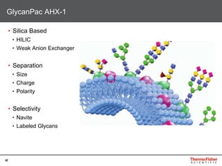 42
• Silica Based
• HILIC
• Weak Anion Exchanger
• Separation
• Size
• Charge
• Polarity
• Selectivity
• Navite
• Labeled Glycans
GlycanPac AHX-1
 
