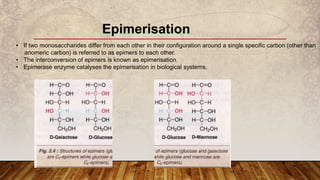 Epimerization Examples Carbohydrates - Monosaccharides and its qualitative tests - Part 1 | PPTX