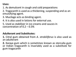 Carbohydrates | PPTX