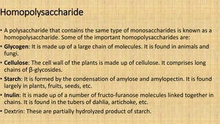 Homopolysaccharide
• A polysaccharide that contains the same type of monosaccharides is known as a
homopolysaccharide. Some of the important homopolysaccharides are:
• Glycogen: It is made up of a large chain of molecules. It is found in animals and
fungi.
• Cellulose: The cell wall of the plants is made up of cellulose. It comprises long
chains of ꞵ-glycosides.
• Starch: It is formed by the condensation of amylose and amylopectin. It is found
largely in plants, fruits, seeds, etc.
• Inulin: It is made up of a number of fructo-furanose molecules linked together in
chains. It is found in the tubers of dahlia, artichoke, etc.
• Dextrin: These are partially hydrolyzed product of starch.
 