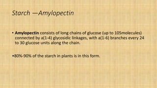 Starch —Amylopectin
• Amylopectin consists of long chains of glucose (up to 105molecules)
connected by a(1-4) glycosidic linkages, with a(1-6) branches every 24
to 30 glucose units along the chain.
•80%-90% of the starch in plants is in this form.
 