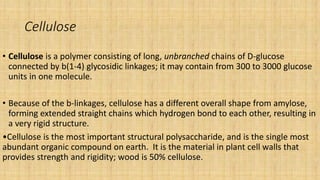 Cellulose
• Cellulose is a polymer consisting of long, unbranched chains of D-glucose
connected by b(1-4) glycosidic linkages; it may contain from 300 to 3000 glucose
units in one molecule.
• Because of the b-linkages, cellulose has a different overall shape from amylose,
forming extended straight chains which hydrogen bond to each other, resulting in
a very rigid structure.
•Cellulose is the most important structural polysaccharide, and is the single most
abundant organic compound on earth. It is the material in plant cell walls that
provides strength and rigidity; wood is 50% cellulose.
 
