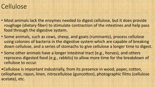 Cellulose
• Most animals lack the enzymes needed to digest cellulose, but it does provide
roughage (dietary fiber) to stimulate contraction of the intestines and help pass
food through the digestive system.
• Some animals, such as cows, sheep, and goats (ruminants), process cellulose
using colonies of bacteria in the digestive system which are capable of breaking
down cellulose, and a series of stomachs to give cellulose a longer time to digest.
• Some other animals have a longer intestinal tract (e.g., horses), and others
reprocess digested food (e.g., rabbits) to allow more time for the breakdown of
cellulose to occur.
•Cellulose is important industrially, from its presence in wood, paper, cotton,
cellophane, rayon, linen, nitrocellulose (guncotton), photographic films (cellulose
acetate), etc.
 