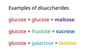 carbohydrates, examples, types and uses ppt.pptx