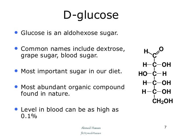 carbohydrates function common carbohydrates
