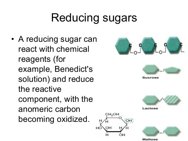 and galactose properties structure Carbohydrate structure