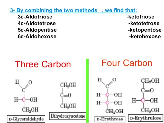 Has Dozens Ofly Controlled Steps That Are Cl Ed Into Three Pathways Has Dozens Ofly Controlled Steps That Are Cl Ed Into Three Pathways