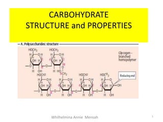 CARBOHYDRATE
STRUCTURE and PROPERTIES
Whilhelmina Annie Mensah 1
 