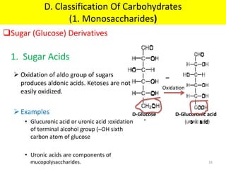 1. Sugar Acids
 Oxidation of aldo group of sugars
produces aldonic acids. Ketoses are not
easily oxidized.
Examples
• Glucuronic acid or uronic acid :oxidation
of terminal alcohol group (–OH sixth
carbon atom of glucose
• Uronic acids are components of
mucopolysaccharides.
Oxidation
D-Glucose D-Glucoronic acid
Sugar (Glucose) Derivatives
D. Classification Of Carbohydrates
(1. Monosaccharides)
16
 
