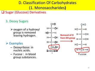 3. Deoxy Sugars
oxygen of a hydroxyl
group is removed
leaving hydrogen.
 Examples
– Deoxyribose: in
nucleic acids.
– Fucose : in blood
group substances.
Removal of O
from OH group
 Sugar (Glucose) Derivatives
D. Classification Of Carbohydrates
(1. Monosaccharides)
18
 