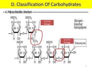 D. Classification Of Carbohydrates
24
α (1-6)
linkage
α (1-4)
linkage
 