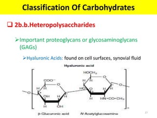  2b.b.Heteropolysaccharides
Important proteoglycans or glycosaminoglycans
(GAGs)
Hyaluronic Acids: found on cell surfaces, synovial fluid
and vitrous humour
Classification Of Carbohydrates
27
 