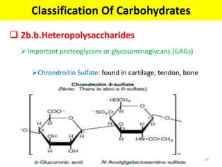  2b.b.Heteropolysaccharides
Important proteoglycans or glycosaminoglycans (GAGs)
Chrondroitin Sulfate: found in cartilage, tendon, bone
Classification Of Carbohydrates
28
 