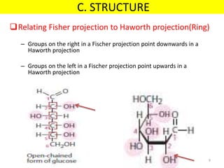 Relating Fisher projection to Haworth projection(Ring)
– Groups on the right in a Fischer projection point downwards in a
Haworth projection
– Groups on the left in a Fischer projection point upwards in a
Haworth projection
C. STRUCTURE
9
 