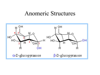 Comprehensive Overview of Carbohydrate Structure, Function, and ...