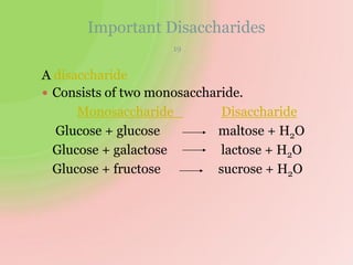 Important Disaccharides
19
A disaccharide
 Consists of two monosaccharide.
Monosaccharide Disaccharide
Glucose + glucose maltose + H2O
Glucose + galactose lactose + H2O
Glucose + fructose sucrose + H2O
 