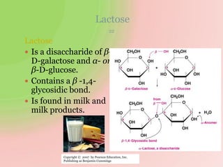 Lactose
Lactose
 Is a disaccharide of β-
D-galactose and α- or
β-D-glucose.
 Contains a β -1,4-
glycosidic bond.
 Is found in milk and
milk products.
22
α-form
Copyright © 2007 by Pearson Education, Inc.
Publishing as Benjamin Cummings
 
