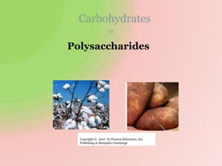 Carbohydrates
Polysaccharides
25
Copyright © 2007 by Pearson Education, Inc.
Publishing as Benjamin Cummings
 