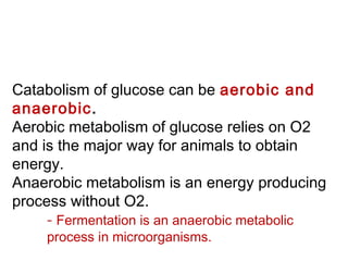 Catabolism of glucose can be aerobic and
anaerobic.
Aerobic metabolism of glucose relies on O2
and is the major way for animals to obtain
energy.
Anaerobic metabolism is an energy producing
process without O2.
- Fermentation is an anaerobic metabolic
process in microorganisms.
 