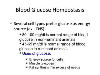 Blood Glucose Homeostasis
• Several cell types prefer glucose as energy
source (ex., CNS)
 80-100 mg/dl is normal range of blood
glucose in non-ruminant animals
 45-65 mg/dl is normal range of blood
glucose in ruminant animals
 Uses of glucose:
 Energy source for cells
 Muscle glycogen
 Fat synthesis if in excess of needs
 