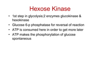 Hexose Kinase
• 1st step in glycolysis;2 enzymes glucokinase &
hexokinase
• Glucose 6-p phosphatase for reversal of reaction
• ATP is consumed here in order to get more later
• ATP makes the phosphorylation of glucose
spontaneous
 