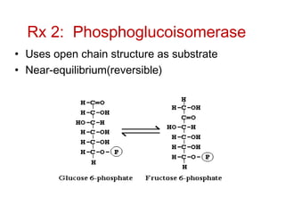 Rx 2: Phosphoglucoisomerase
• Uses open chain structure as substrate
• Near-equilibrium(reversible)
 