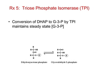 Rx 5: Triose Phosphate Isomerase (TPI)
• Conversion of DHAP to G-3-P by TPI
maintains steady state [G-3-P]
 