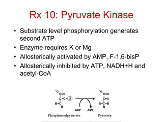Rx 10: Pyruvate Kinase
• Substrate level phosphorylation generates
second ATP
• Enzyme requires K or Mg
• Allosterically activated by AMP, F-1,6-bisP
• Allosterically inhibited by ATP, NADH+H and
acetyl-CoA
 