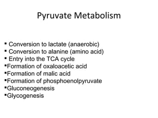 Pyruvate Metabolism
 Conversion to lactate (anaerobic)
 Conversion to alanine (amino acid)
 Entry into the TCA cycle
Formation of oxaloacetic acid
Formation of malic acid
Formation of phosphoenolpyruvate
Gluconeogenesis
Glycogenesis
 