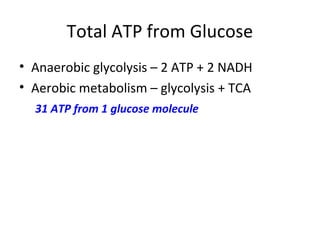 Total ATP from Glucose
• Anaerobic glycolysis – 2 ATP + 2 NADH
• Aerobic metabolism – glycolysis + TCA
31 ATP from 1 glucose molecule
 
