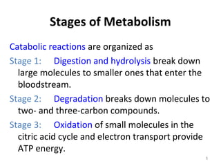Stages of Metabolism
Catabolic reactions are organized as
Stage 1: Digestion and hydrolysis break down
large molecules to smaller ones that enter the
bloodstream.
Stage 2: Degradation breaks down molecules to
two- and three-carbon compounds.
Stage 3: Oxidation of small molecules in the
citric acid cycle and electron transport provide
ATP energy.
5
 