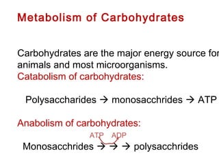 Metabolism of Carbohydrates
 
Carbohydrates are the major energy source for
animals and most microorganisms.
Catabolism of carbohydrates:
Polysaccharides  monosacchrides  ATP
Anabolism of carbohydrates:
Monosacchrides    polysacchrides 
ATP ADP
 