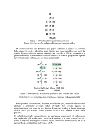 Figura 1: estrutura química dos monossacarídeos
Fonte: http://www.infoescola.com/bioquimica/monossacarideo
Os monossacarídeos são formados por grupos carbonilo e cadeias de carbono
hidroxiladas. É possível identificar duas famílias dos monossacarídeos por meio da
posição do grupo carbonilo presente na cadeia, por exemplo, as Aldoses que possuem o
grupo carbonilo na extremidade da cadeia de carbono e as Cetoses que possuem o grupo
carbonilo em outro carbono, que não numa extremidade.
Figura 2: Representação da estrutura química de uma cetose e uma aldose.
Fonte: http://www.sobiologia.com.br/conteudos/quimica_vida/quimica2.php
Esses glicídios são cristalinos, incolores, solúveis em água, insolúveis em solventes
apolares e geralmente possuem sabor adocicado. Em solução aquosa, os
monossacarídeos com cinco ou seis átomos de carbono, tendem a formar estruturas
cíclicas, sendo que os mais comuns possuem de três a sete carbonos em sua cadeia
principal.
Os carboidratos simples mais conhecidos são aqueles que apresentam 5 e 6 carbonos em
sua cadeia principal, sendo assim chamados de pentoses e hexoses, respectivamente.
Como exemplo de pentose pode-se citar a ribose, constituinte da molécula de RNA e a
desoxirribose constituinte da molécula de DNA.
 