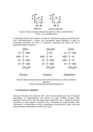 Figura 3: Representação molecular das pentoses: ribose e desoxirribose.
Fonte: www.healthknot.com
As principais hexoses são a glicose utilizada na obtenção de energia e produzida pelos
seres fotossintetizantes; a frutose que desempenha papel energético e pode ser
encontrada facilmente em frutas e a galactose componente da lactose do leite e
desempenha papel energético.
Figura 4: Representação molecular das moléculas de hexoses: Glicose, frutose e
galactose.
Fonte: lucianecantalicebiologia.blogspot.com
2.2 OLIGOSSACARÍDEOS
Açúcares formados pela junção de dois a dez monossacarídeos por meio de ligações
glicosídicas, os oligossacarídeos são solúveis em água, também possuem sabor
adocicado, servem como fonte de energia para organismos vivos e alguns têm funções
estruturais ao serem ligados a proteínas. Para a formação dos oligossacarídeos mais
importantes, os dissacarídeos, ocorre a desidratação intermolecular, reação entre dois
monossacarídeos, liberando uma molécula de água.
 