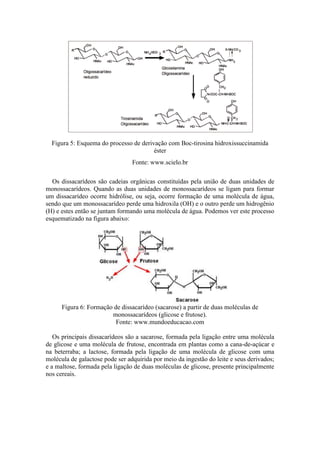 Figura 5: Esquema do processo de derivação com Boc-tirosina hidroxissuccinamida
éster
Fonte: www.scielo.br
Os dissacarídeos são cadeias orgânicas constituídas pela união de duas unidades de
monossacarídeos. Quando as duas unidades de monossacarídeos se ligam para formar
um dissacarídeo ocorre hidrólise, ou seja, ocorre formação de uma molécula de água,
sendo que um monossacarídeo perde uma hidroxila (OH) e o outro perde um hidrogênio
(H) e estes então se juntam formando uma molécula de água. Podemos ver este processo
esquematizado na figura abaixo:
Figura 6: Formação de dissacarídeo (sacarose) a partir de duas moléculas de
monossacarídeos (glicose e frutose).
Fonte: www.mundoeducacao.com
Os principais dissacarídeos são a sacarose, formada pela ligação entre uma molécula
de glicose e uma molécula de frutose, encontrada em plantas como a cana-de-açúcar e
na beterraba; a lactose, formada pela ligação de uma molécula de glicose com uma
molécula de galactose pode ser adquirida por meio da ingestão do leite e seus derivados;
e a maltose, formada pela ligação de duas moléculas de glicose, presente principalmente
nos cereais.
 