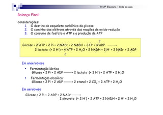 Profª Eleonora – Slide de aula
2
Glicose + 2 ATP + 2 Pi + 2 NAD+ + 2 NADH + 2 H+ + 4 ADP →
2 lactato- (+ 2 H+) + 4 ATP + 2 H2O + 2 NADH + 2 H+ + 2 NAD+ + 2 ADP
2
Em anaerobiose
! Fermentação láctica
Glicose + 2 Pi + 2 ADP → 2 lactato- (+ 2 H+) + 2 ATP + 2 H2O
! Fermentação alcoólica
Glicose + 2 Pi + 2 ADP → 2 etanol + 2 CO2 + 2 ATP + 2 H2O
Em aerobiose
Glicose + 2 Pi + 2 ADP + 2 NAD+ →
2 piruvato- (+ 2 H+) + 2 ATP + 2 NADH + 2 H+ + 2 H2O
Balanço Final
Considerações:
1. O destino do esqueleto carbônico da glicose
2. O caminho dos elétrons através das reações de oxido-redução
3. O consumo de fosfato e ATP e a produção de ATP
 