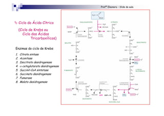 Profª Eleonora – Slide de aula
" Ciclo do Ácido Cítrico
(Ciclo de Krebs ou
Ciclo dos Ácidos
Tricarboxílicos)
Enzimas do ciclo de Krebs:
1. Citrato sintase
2. Aconitase
3. Isocitrato desidrogenase
4. α-cetoglutarato desidrogenase
5. Succinil-CoA sintetase
6. Succinato desidrogenase
7. Fumarase
8. Malato desidrogenase
GTP GDP + Pi
+
 
