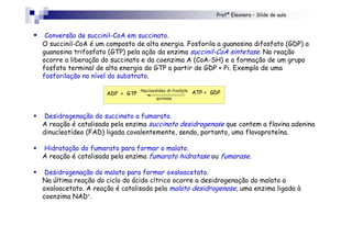 Profª Eleonora – Slide de aula
! Conversão de succinil-CoA em succinato.
O succinil-CoA é um composto de alta energia. Fosforila a guanosina difosfato (GDP) a
guanosina trifosfato (GTP) pela ação da enzima succinil-CoA sintetase. Na reação
ocorre a liberação do succinato e da coenzima A (CoA-SH) e a formação de um grupo
fosfato terminal de alta energia do GTP a partir de GDP + Pi. Exemplo de uma
fosforilação no nível do substrato.
! Desidrogenação do succinato a fumarato.
A reação é catalisada pela enzima succinato desidrogenase que contem a flavina adenina
dinucleotídeo (FAD) ligada covalentemente, sendo, portanto, uma flavoproteína.
! Hidratação do fumarato para formar o malato.
A reação é catalisada pela enzima fumarato hidratase ou fumarase.
! Desidrogenação do malato para formar oxaloacetato.
Na última reação do ciclo do ácido cítrico ocorre a desidrogenação do malato a
oxaloacetato. A reação é catalisada pela malato desidrogenase, uma enzima ligada à
coenzima NAD+.
ADP + GTP ATP + GDPNucleosídeo di-fosfato
quinase
 