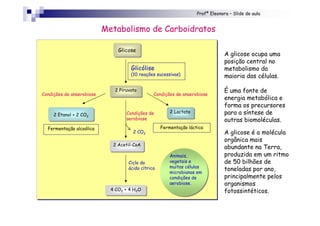 Profª Eleonora – Slide de aula
Condições de anaerobiose
Fermentação alcoólica
Ciclo do
ácido cítrico
Fermentação láctica
Condições de
aerobiose
Condições de anaerobiose
GlicoseGlicose
2 Piruvato2 Piruvato
2 Etanol + 2 CO2
2 Etanol + 2 CO2
2 Lactato2 Lactato
2 Acetil-CoA2 Acetil-CoA
4 CO2 + 4 H2O4 CO2 + 4 H2O
Glicólise
(10 reações sucessivas)
2 CO2
Animais,
vegetais e
muitas células
microbianas em
condições de
aerobiose.
Metabolismo de Carboidratos
A glicose ocupa uma
posição central no
metabolismo da
maioria das células.
É uma fonte de
energia metabólica e
forma os precursores
para a síntese de
outras biomoléculas.
A glicose é a molécula
orgânica mais
abundante na Terra,
produzida em um ritmo
de 50 bilhões de
toneladas por ano,
principalmente pelos
organismos
fotossintéticos.
 
