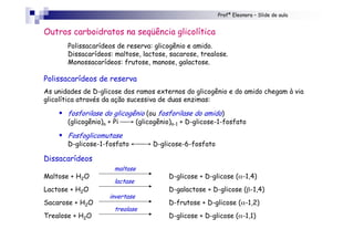 Profª Eleonora – Slide de aula
Outros carboidratos na seqüência glicolítica
Polissacarídeos de reserva: glicogênio e amido.
Dissacarídeos: maltose, lactose, sacarose, trealose.
Monossacarídeos: frutose, manose, galactose.
Polissacarídeos de reserva
As unidades de D-glicose dos ramos externos do glicogênio e do amido chegam à via
glicolítica através da ação sucessiva de duas enzimas:
! fosforilase do glicogênio (ou fosforilase do amido)
(glicogênio)n + Pi → (glicogênio)n-1 + D-glicose-1-fosfato
! Fosfoglicomutase
D-glicose-1-fosfato ←→ D-glicose-6-fosfato
Dissacarídeos
Maltose + H2O D-glicose + D-glicose (α-1,4)
Lactose + H2O D-galactose + D-glicose (β-1,4)
Sacarose + H2O D-frutose + D-glicose (α-1,2)
Trealose + H2O D-glicose + D-glicose (α-1,1)
maltase
lactase
invertase
trealase
 