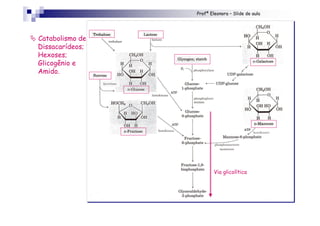 Profª Eleonora – Slide de aula
" Catabolismo de
Dissacarídeos;
Hexoses;
Glicogênio e
Amido.
invertase
Via glicolítica
 