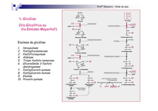 Profª Eleonora – Slide de aula
" Glicólise
(Via Glicolítica ou
Via Embden Meyerhof)
Enzimas da glicólise:
1. Hexoquinase
2. Fosfoglicoisomerase
3. Fosfofrutoquinase
4. Aldolase
5. Triose-fosfato isomerase
6. Gliceraldeído 3-fosfato
desidrogenase
7. Fosfoglicerato quinase
8. Fosfoglicerato mutase
9. Enolase
10. Piruvato quinase
 